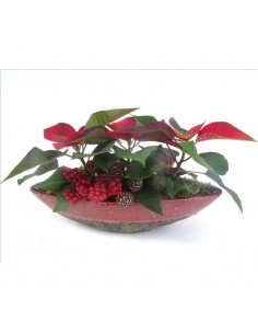 CENTRO NAVIDAD POINSETTIA MACETA DE CERAMICA
