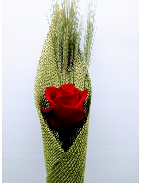 Comprar ROSA SANT JORDI online Barcelona | Flors Joan