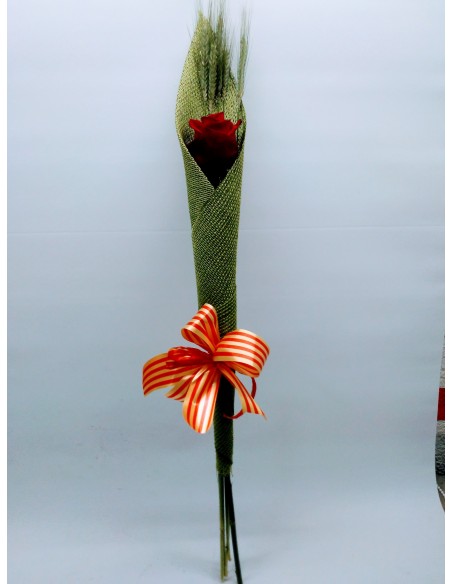 Comprar ROSA SANT JORDI online Barcelona | Flors Joan