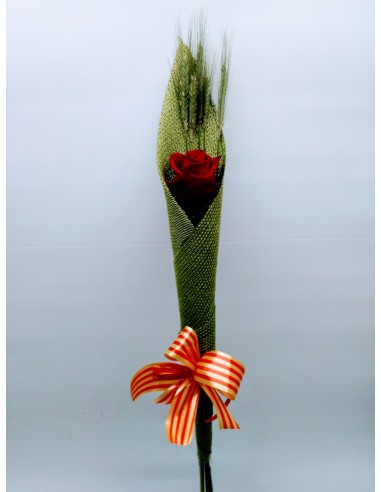 Comprar ROSA SANT JORDI online Barcelona | Flors Joan