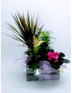 Comprar CESTA DE PLANTAS MANILA online Barcelona | Flors Joan 2