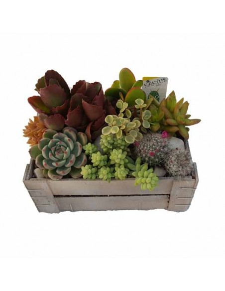 Comprar Caja de fruta online Barcelona | Flors Joan