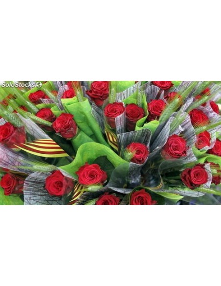 50 ROSES SANT JORDI EN CAIXA