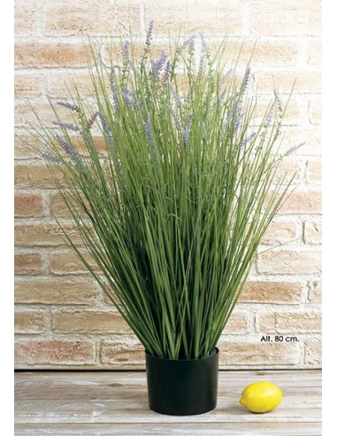 Grass Lavanda 80 cm