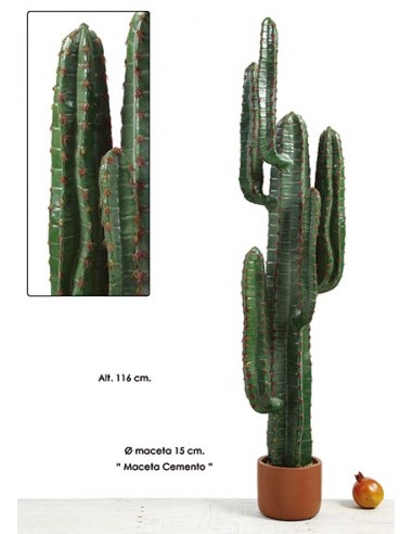 Cactus 116 cm
