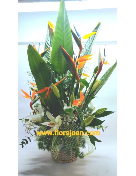 Comprar Centro De Flores Anoia online Barcelona | Flors Joan