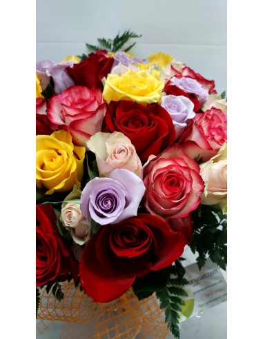 50 Rosas multicolor