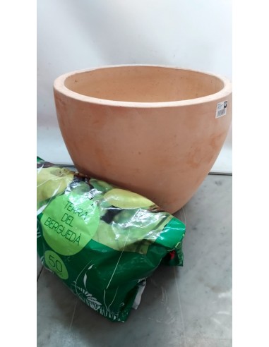 Comprar Limonero 1.50m + maceta +tierra online Barcelona | Flors Joan