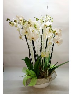 ORQUÍDEAS  BLANCAS CON MACETERO 2