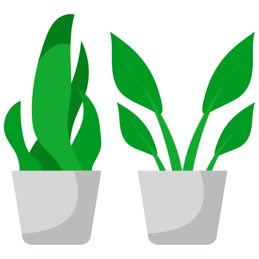 Plantas